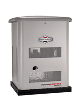 Briggs & Stratton PowerProtect™ DX 12kW Standby Generator 040669 - Canadian Off Grid