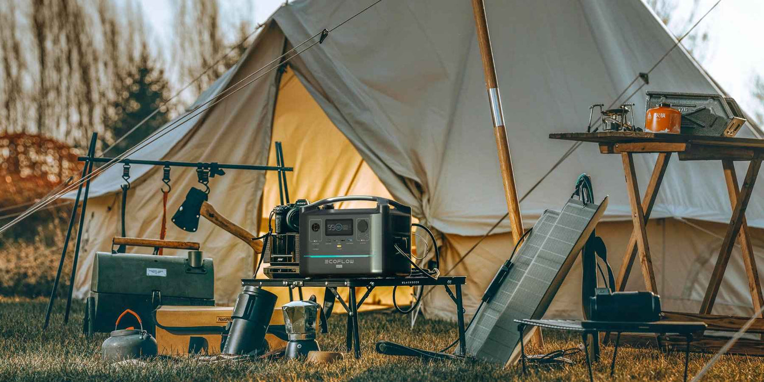 EcoFlow 160w Solar Panel